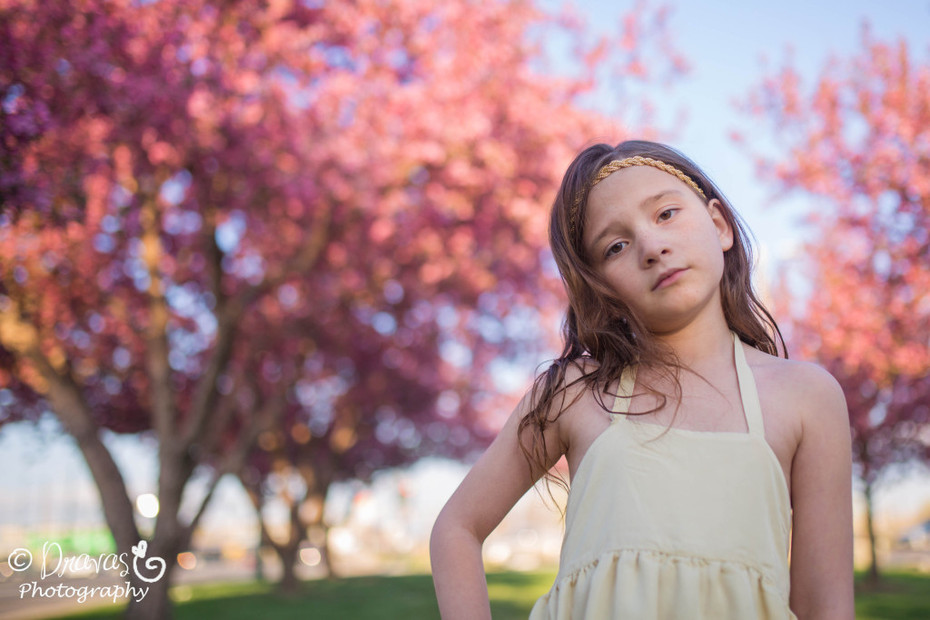 Cherry Blossoms Denver Family Photographer (2)